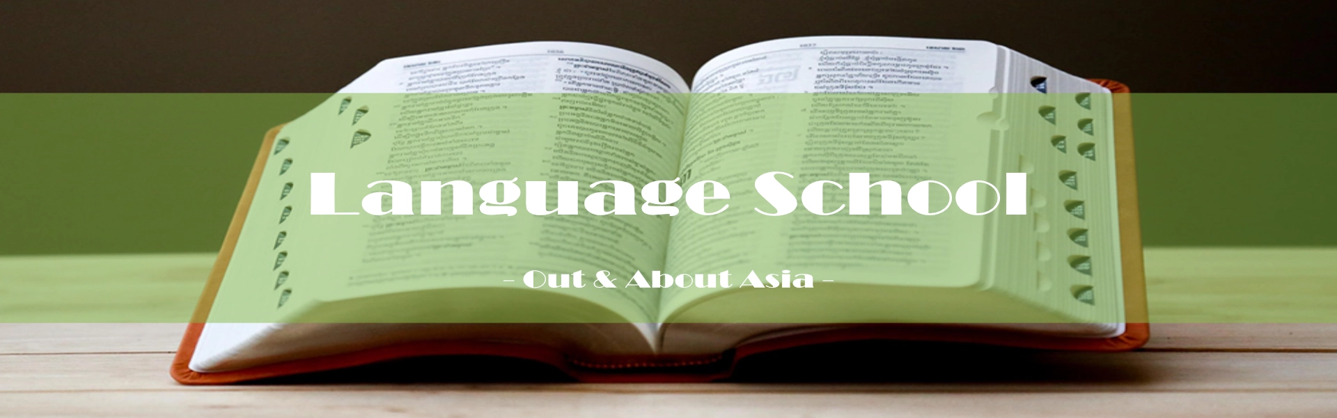 Training, Education & Language Services / Language School - Out & About Asia